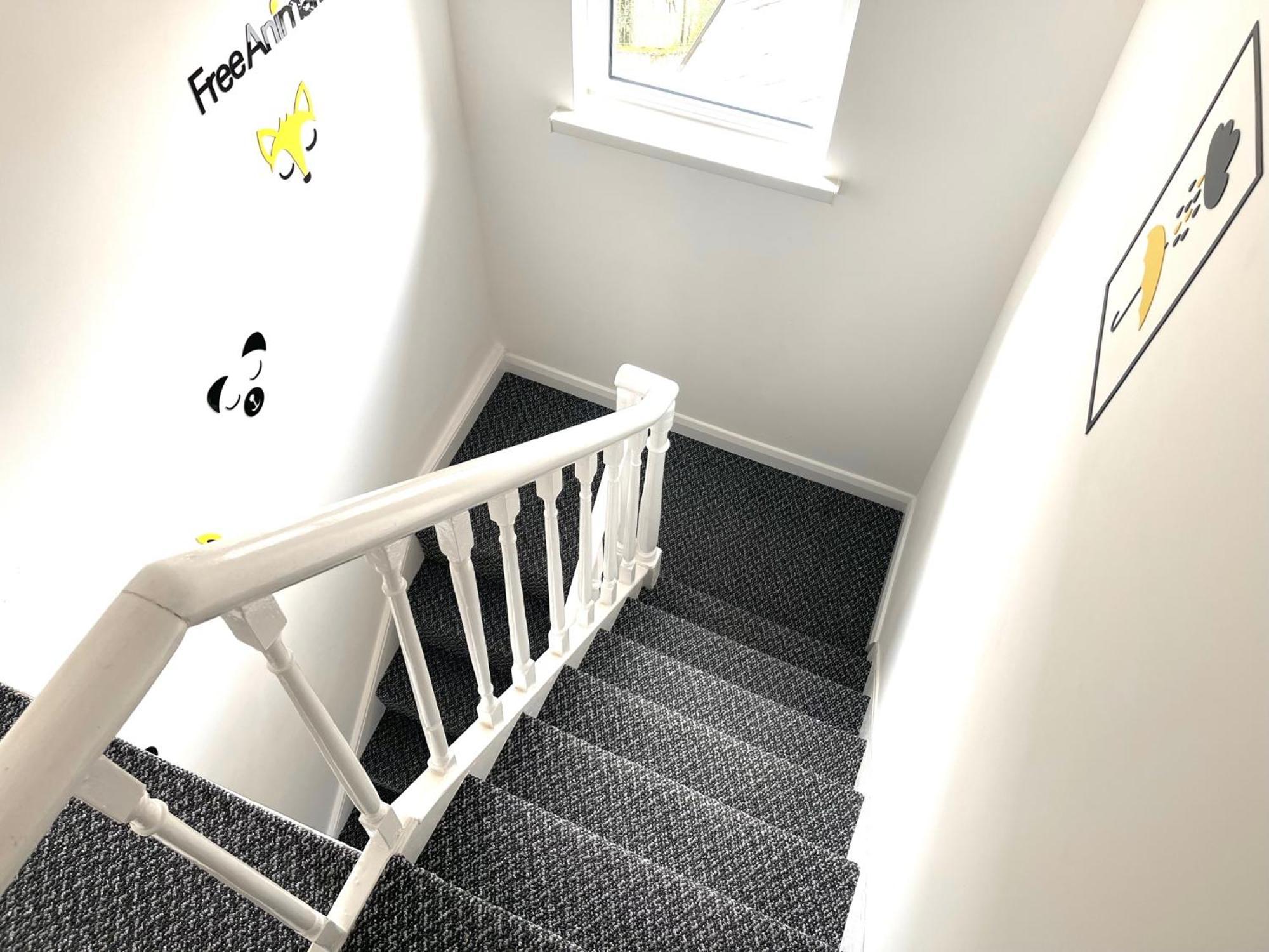 Entire Yellowapt Near Belfast City Centre - Free Parking - Up To 3 Guests - 2 Beds Exterior foto